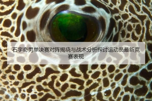 shi-yu-qi-nan-dan-jue-sai-dui-zhen-jie-xiao-yu-zhan-shu-fen-xi-tan-tao-yun-dong-yuan-zui-xin-jing-sai-biao-xian-2-264.jpg