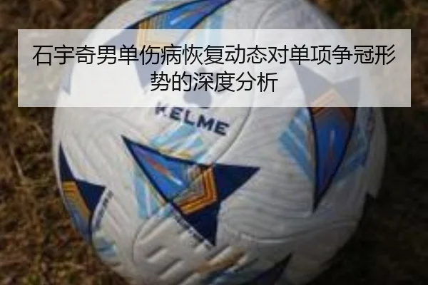 石宇奇男单伤病恢复动态对单项争冠形势的深度分析